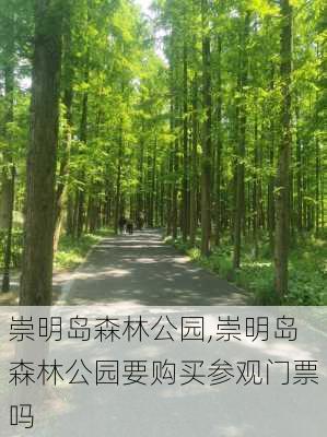 崇明岛森林公园,崇明岛森林公园要购买参观门票吗