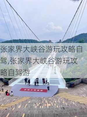 张家界大峡谷游玩攻略自驾,张家界大峡谷游玩攻略自驾游