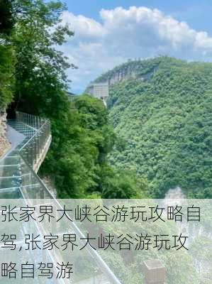 张家界大峡谷游玩攻略自驾,张家界大峡谷游玩攻略自驾游