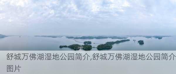 舒城万佛湖湿地公园简介,舒城万佛湖湿地公园简介图片