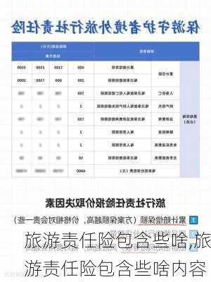 旅游责任险包含些啥,旅游责任险包含些啥内容
