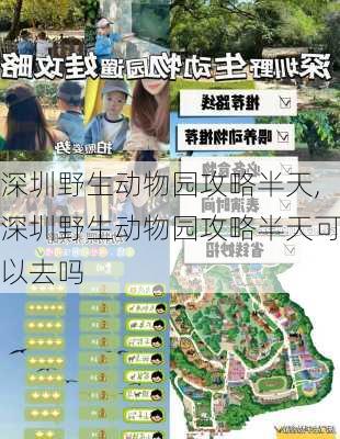 深圳野生动物园攻略半天,深圳野生动物园攻略半天可以去吗