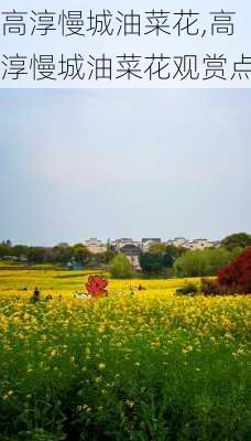 高淳慢城油菜花,高淳慢城油菜花观赏点