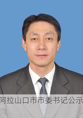 阿拉山口市市委书记公示,