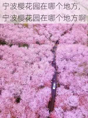 宁波樱花园在哪个地方,宁波樱花园在哪个地方啊