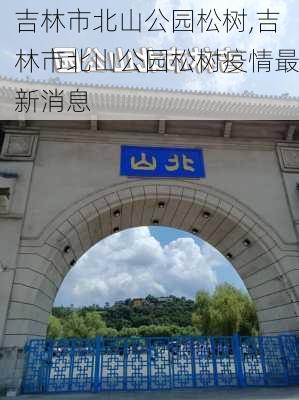 吉林市北山公园松树,吉林市北山公园松树疫情最新消息