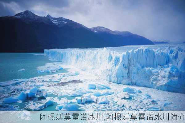 阿根廷莫雷诺冰川,阿根廷莫雷诺冰川简介