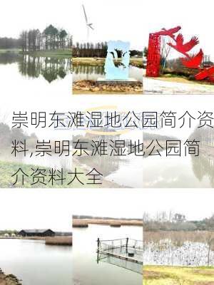 崇明东滩湿地公园简介资料,崇明东滩湿地公园简介资料大全