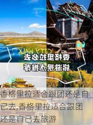 香格里拉适合跟团还是自己去,香格里拉适合跟团还是自己去旅游