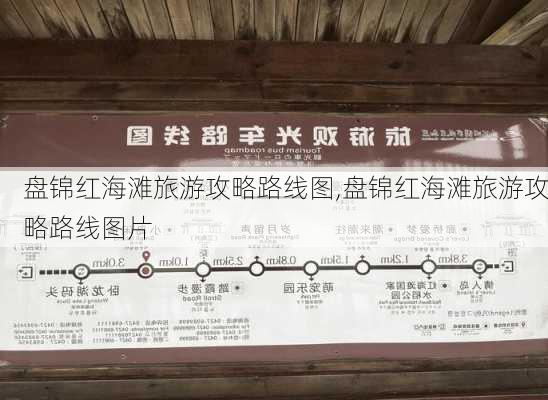 盘锦红海滩旅游攻略路线图,盘锦红海滩旅游攻略路线图片