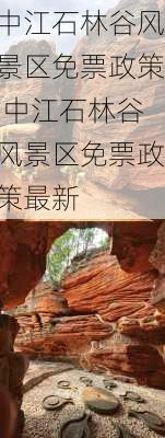 中江石林谷风景区免票政策,中江石林谷风景区免票政策最新