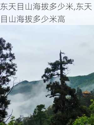 东天目山海拔多少米,东天目山海拔多少米高