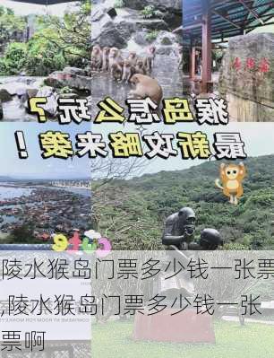 陵水猴岛门票多少钱一张票,陵水猴岛门票多少钱一张票啊