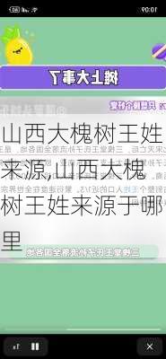 山西大槐树王姓来源,山西大槐树王姓来源于哪里