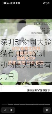 深圳动物园大熊猫有几只,深圳动物园大熊猫有几只